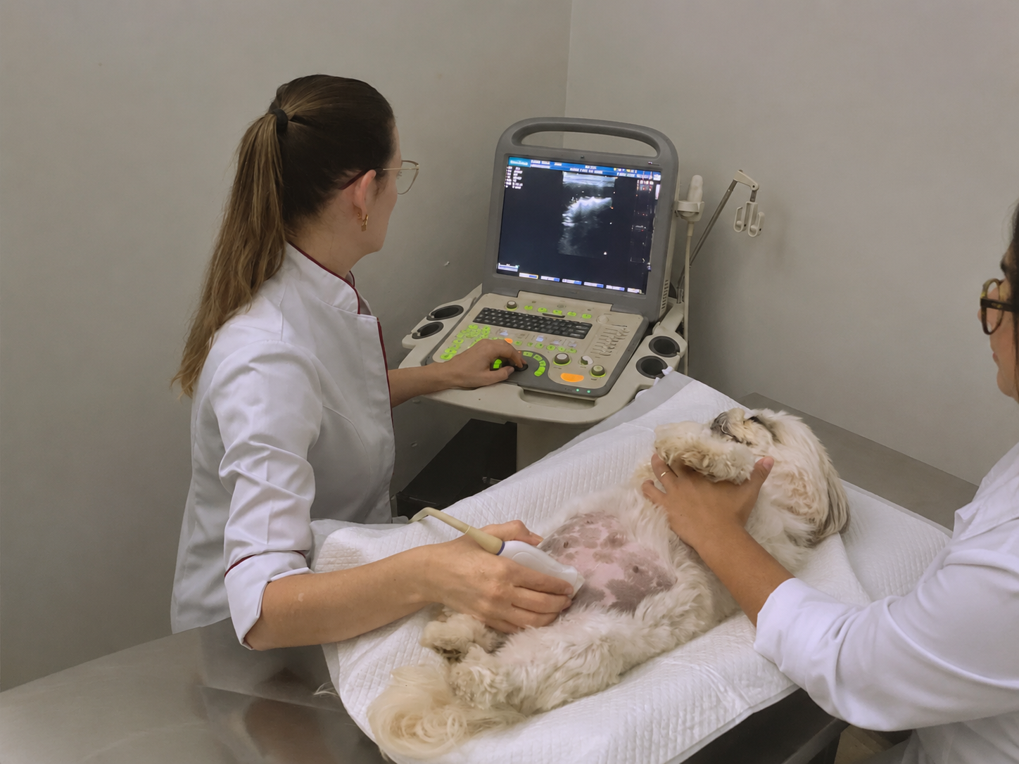 Profissional da Unidade Centro realizando atendimento veterinário